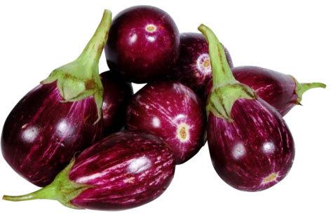 Dark Purple Natural Fresh Brinjal, For Human Consumption, Cooking, Shelf Life : 20 Days