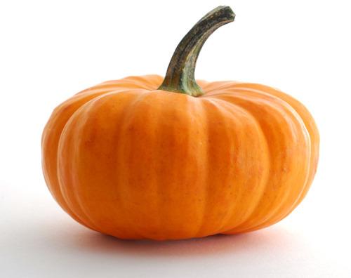 Orange Natural Fresh Pumpkin, for Human Consumption, Cooking, Shelf Life : 20 Days