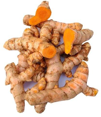 Golden Yellow Finger Natural Raw Turmeric, for Food Medicine, Spices, Cooking, Shelf Life : 6 Month