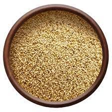 foxtail millet