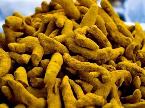 Golden Yellow Finger Polished Raw Natural turmeric, for Cosmetics, Food Medicine, Spices, Cooking
