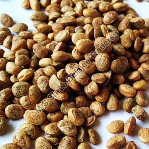 Common chironji seeds, Grade Standard : Food Grade
