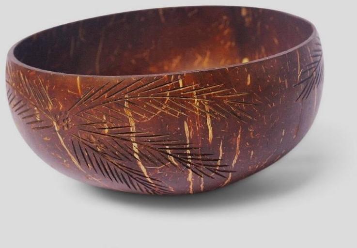 Coconut Shell Bowl