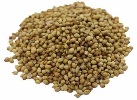 Raw Organic coriander seeds, Certification : FSSAI Certified