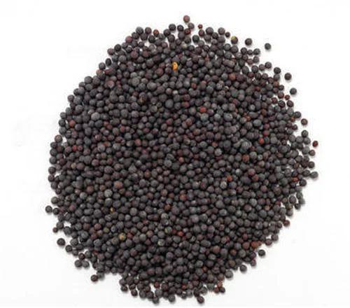 Black Natural Mustard Seeds, for Spices, Cooking