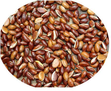 Brown Mahua Seeds, Style : Dried