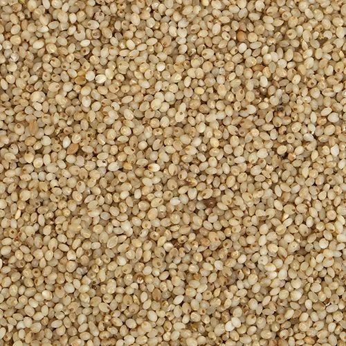 Yellow Organic Little Millet, for Cooking, Cattle Feed, Variety : Hulled