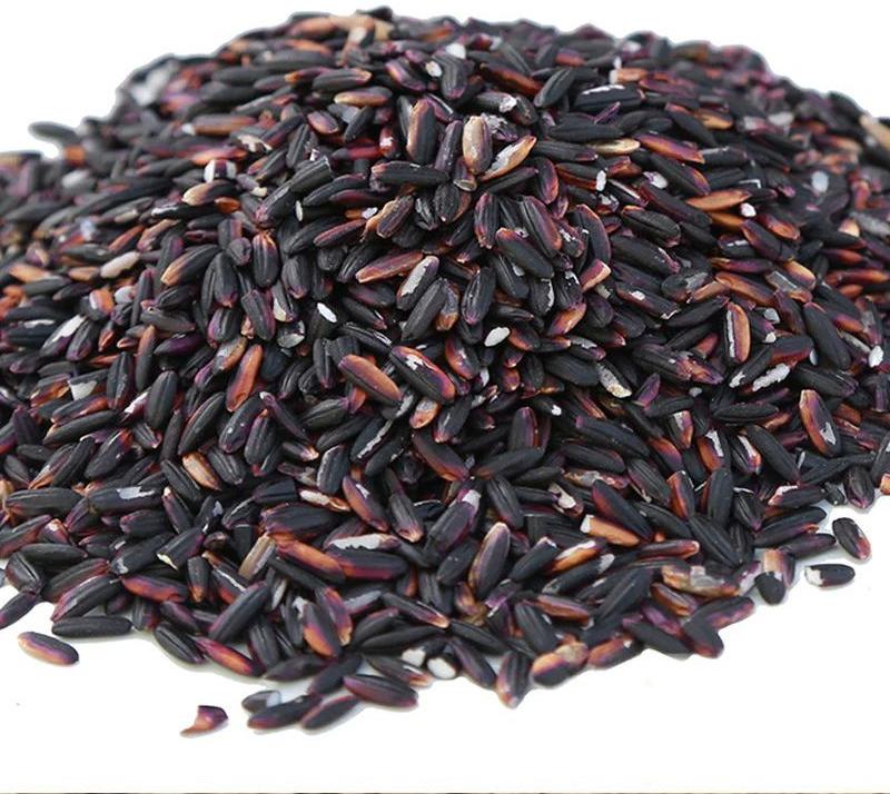 Hard Organic Black Rice, for Human Consumption, Cooking, Certification : FSSAI Certified