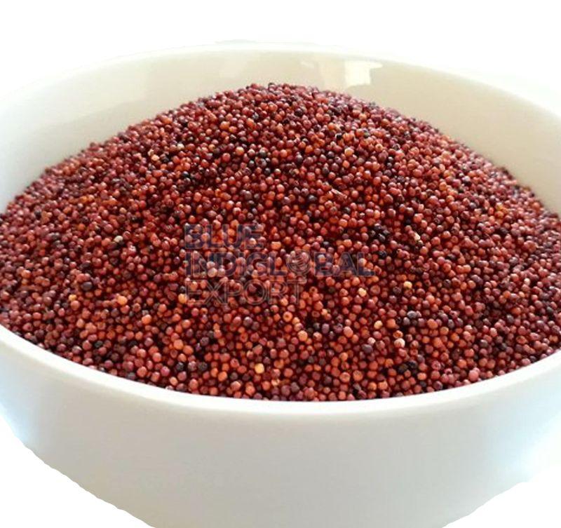 Finger Millet Seed, for Snacks Use, Cooking, Grade : Food Grade