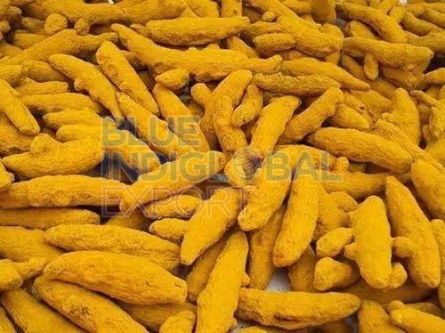 Dark Yellow Raw Turmeric Finger, for Cooking, Spices, Packaging Type : Plastic Packet