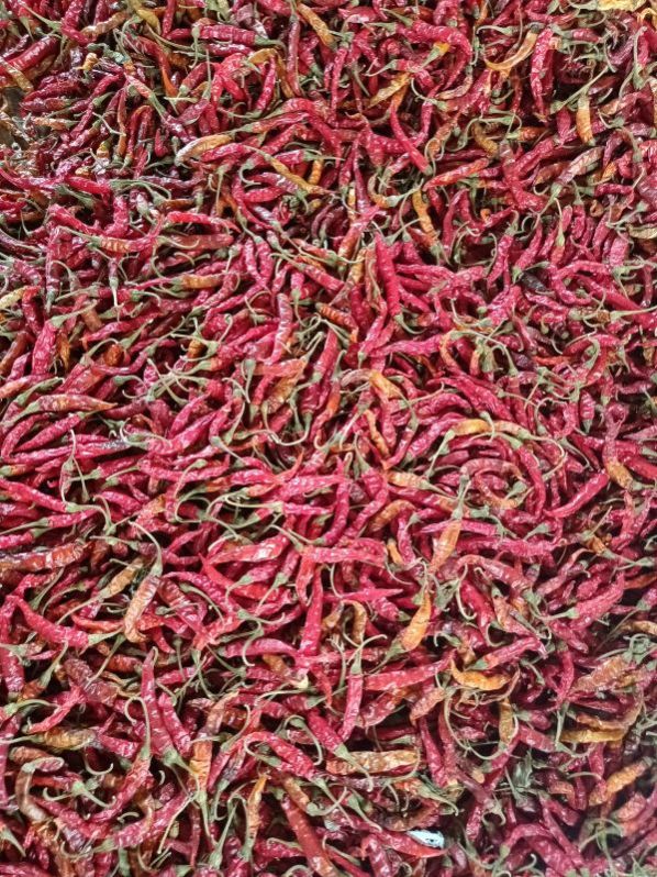 Dark-red Organic Red Chilli, Style : Dried, Fresh