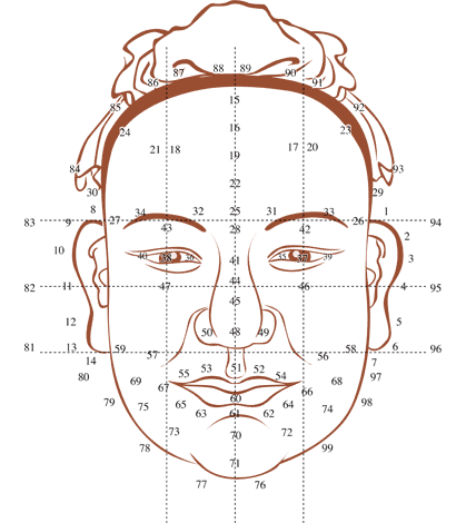 Face Reading Service