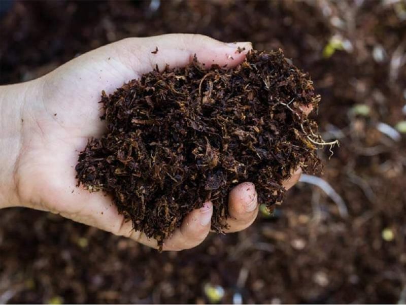 Brown Powder Organic Compost Fertilizer