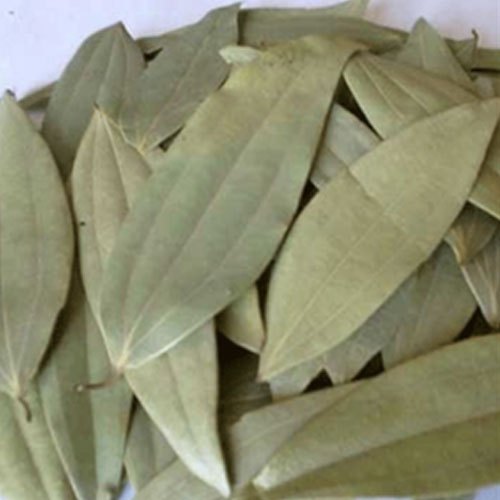 bay leaf