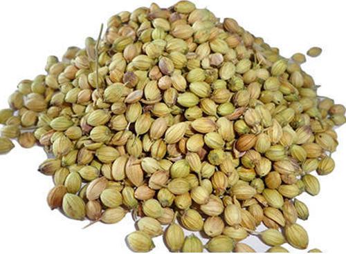 Green Granules Raw Natural Coriander Seed, Grade Standard : Food Grade