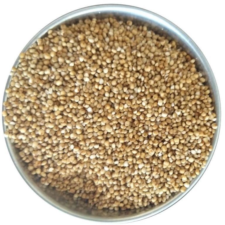 Yellow Natural Kodo Millet Seeds, for Cooking, Cattle Feed, Packaging Type : Bag