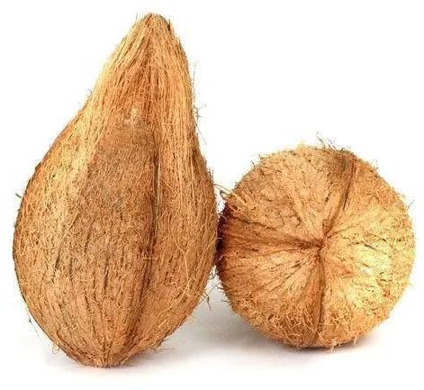 Semi Husked Tiptur Coconut