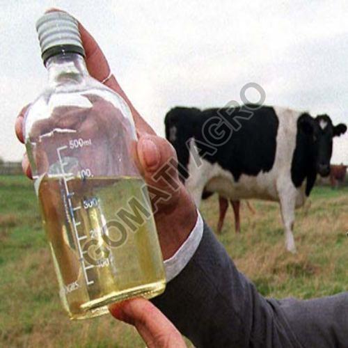 Yellow Liquid Distilled Cow Urine, for Medicine Use, Personal Use, Purity : 99%