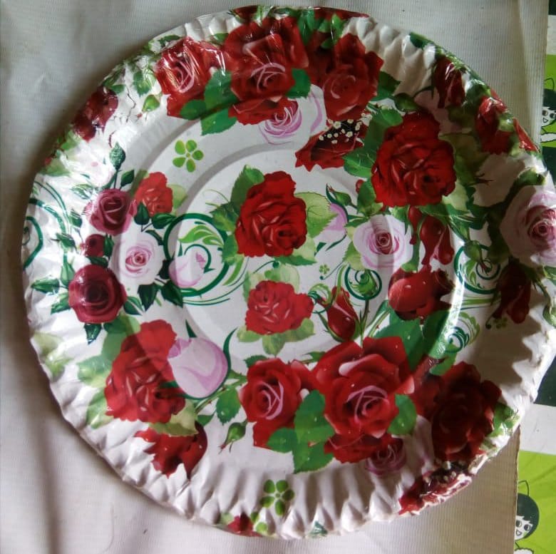 Printed Paper Plate, for Event, Party, Snacks