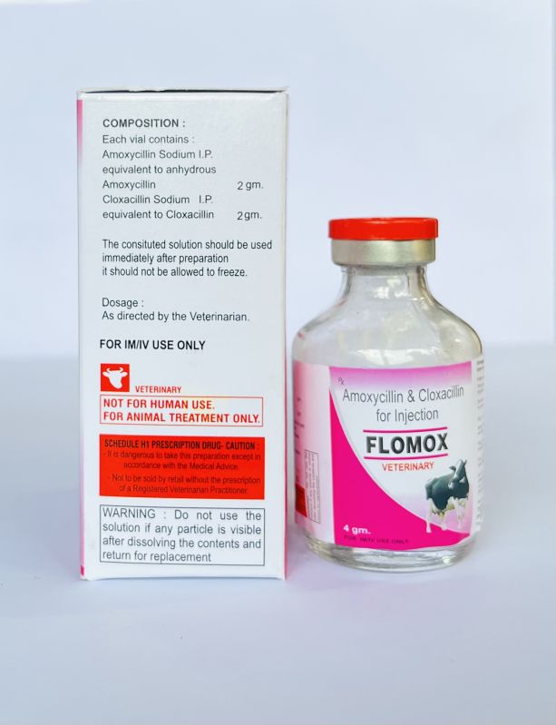 White Injection Liquid AMOXICILLINE CLOXACILLIN, for Clinical, Hospital Etc.