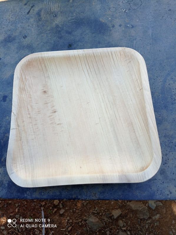 Areca Plates 9 Square, For Serving Food