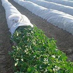 Maxwell UV Treated agricultural crop covers