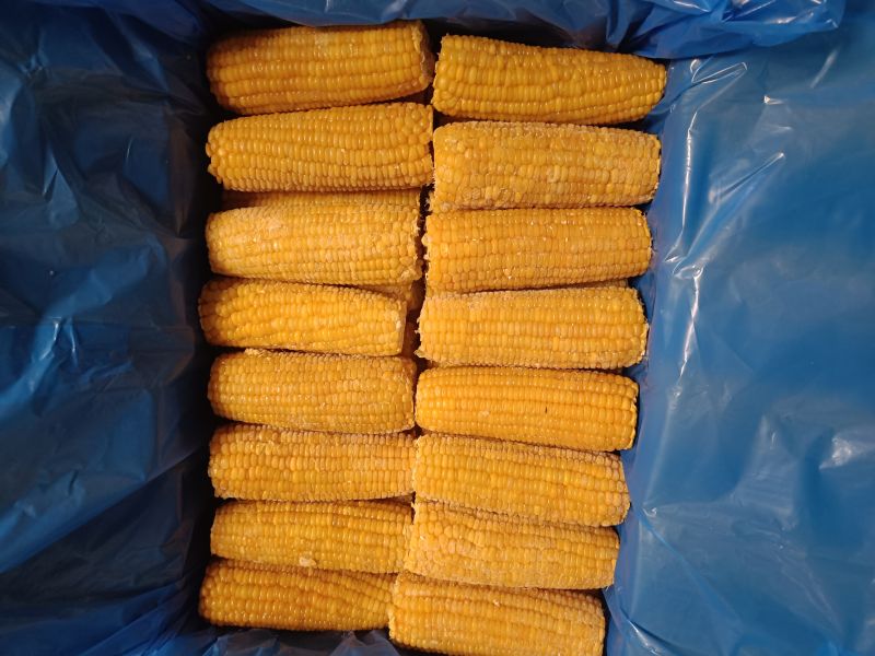 Frozen Corn on cob