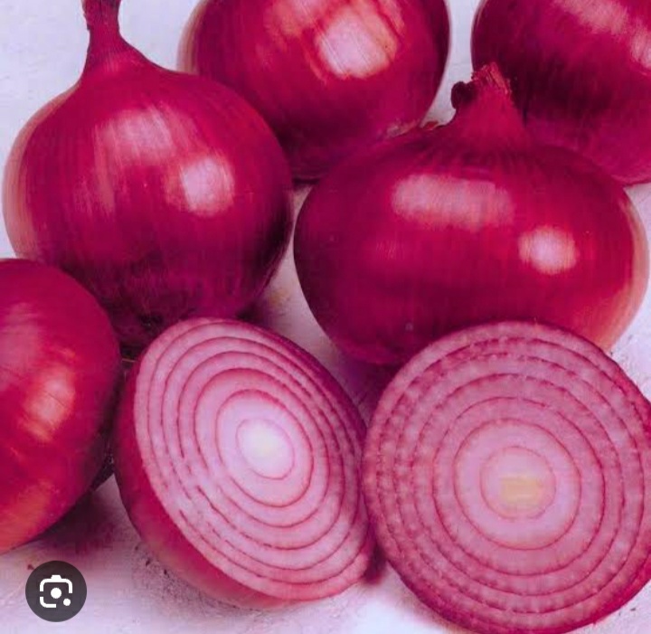 Fresh red onion, for Cooking