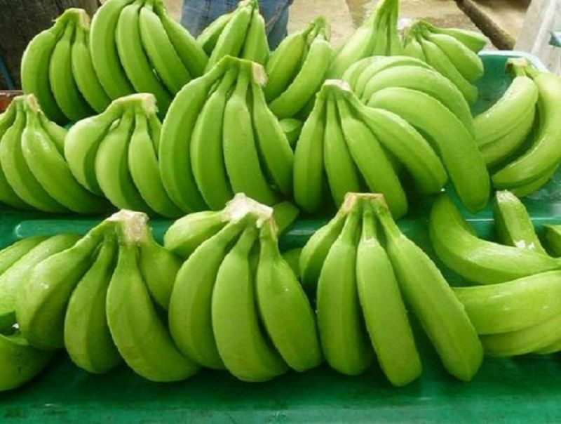 Fresh Bananas, Shelf Life : 15