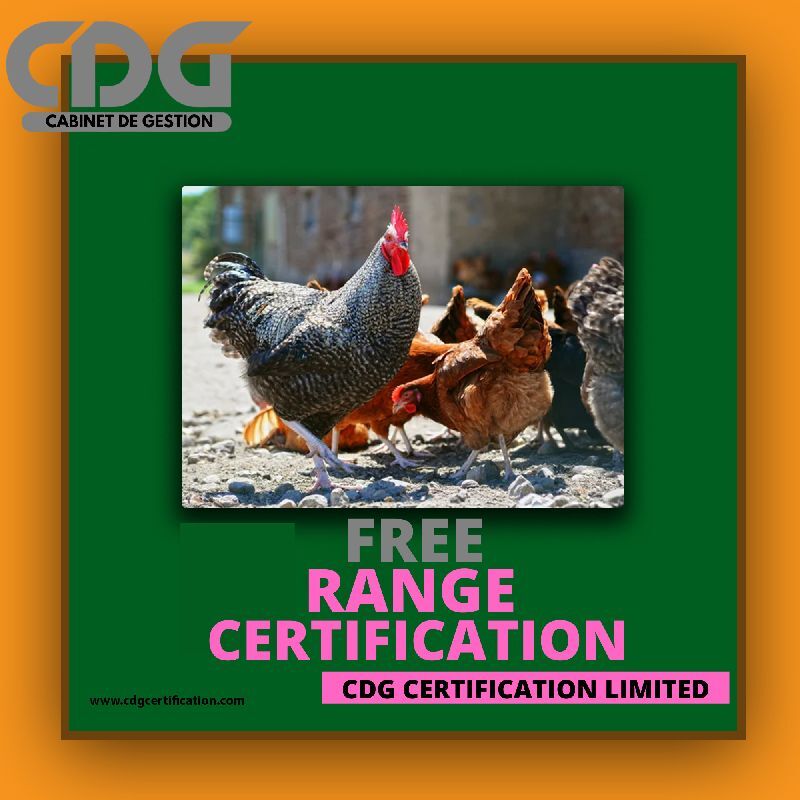 Free-Range Certification in Bangalore