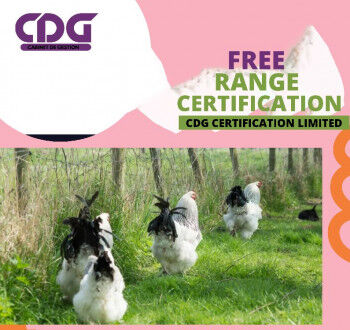 Free-Range Certification in India