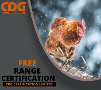 Free-Range Certification in Nashik