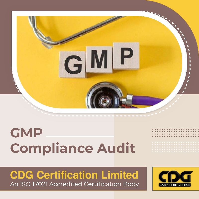 WHO-GMP Audit in Mumbai