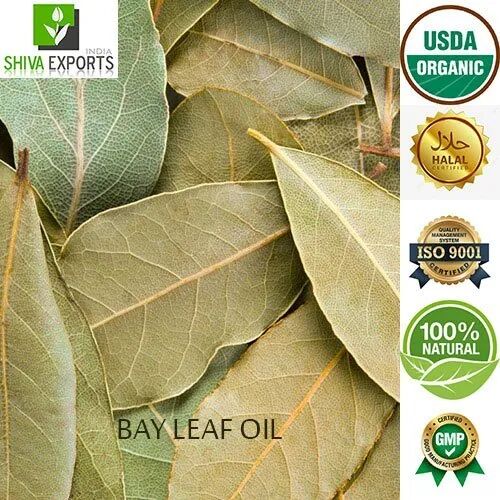 Bay Leaf Oil, for Pharma, Packaging Size : 1 KG, 5 KG, 10KG, 25 KG, 180 KG