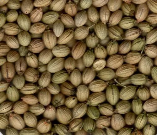 coriander seeds