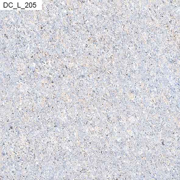 Multicolor Square L-205 Dc Light Series Vitrified Tile, for Roofing, Flooring, Pattern : Plain, Printed