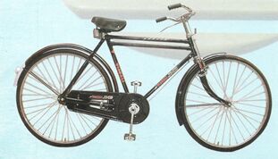 RW-65 Philips Type Double Bar Bicycle