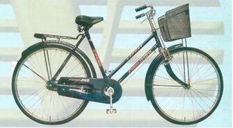 RW-66 Philips Type Double Bar Bicycle