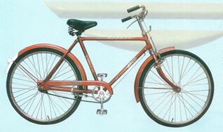 RW-67 Philips Type Double Bar Bicycle