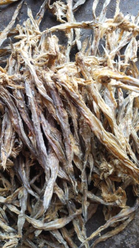 Dried Bombay Duck, For Food, Feature : Good Protein, Non Harmful