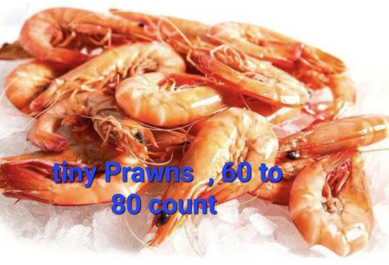 Tiny Prawns, For Business Purpose, Style : Fresh