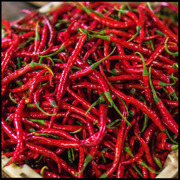 Fresh Red Chilli, for Making Pickles, Cooking, Taste : Spicy