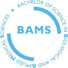 bams admission information course details service