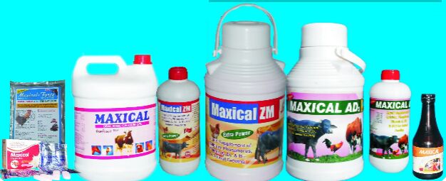 Maxical Calcium Supplement