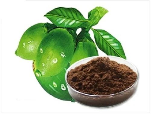 Areca Catechu Extract