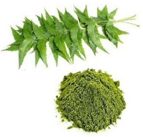 Azadirachta Indica Leaf Extract, For Medicinal, Style : Natural