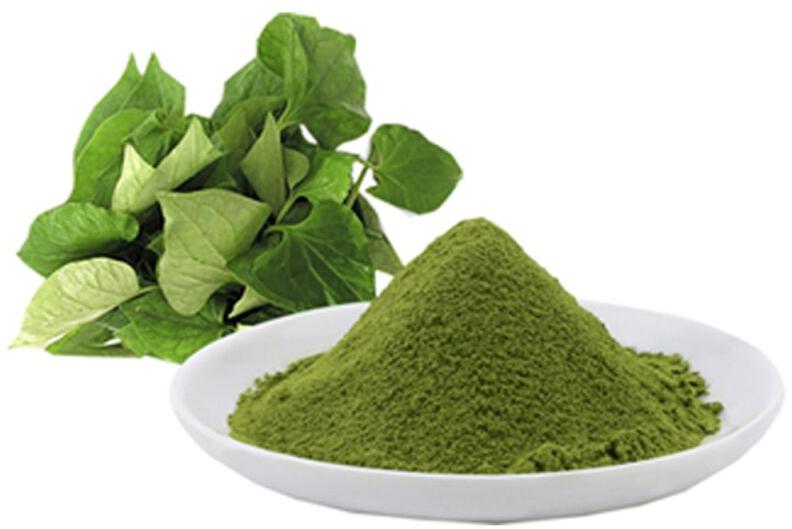 Centella Asiatica Extract, For Medicinal, Style : Natural