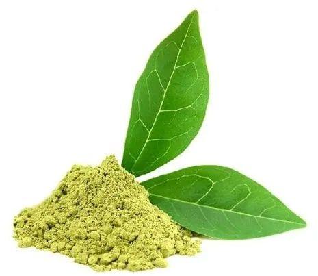 Gymnema Sylvestre Leaf Extract, Certification : FSSAI Certified