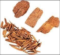 Holarrhena Antidysenterica Bark Extract, For Medicinal, Style : Natural