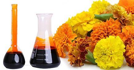 Marigold Oleoresin